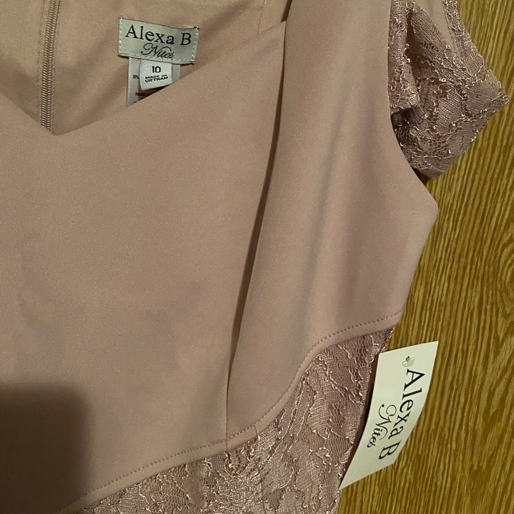 Pale pink, new dress, size 10, brand Alexa B. Nites - Picture 2 of 3